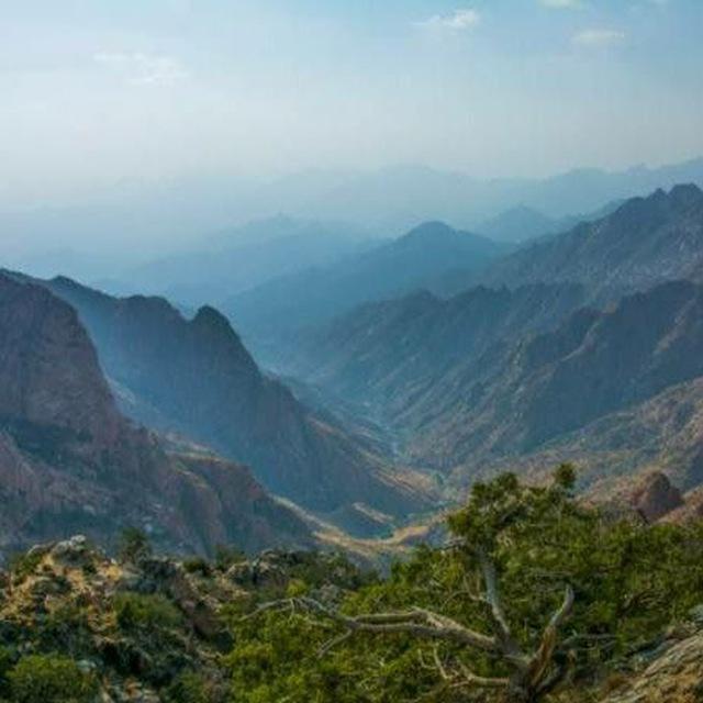 قناة جامعي - خالد