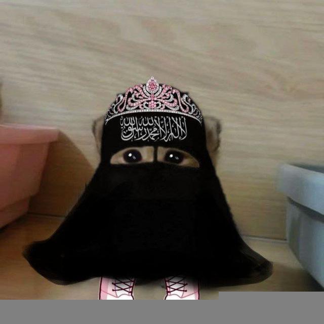 لـ( 𓏺👤هواجس؟) :