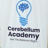Cerebelllum academy official
