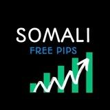 Somali Free Pips