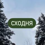 🌆Сходня и не только