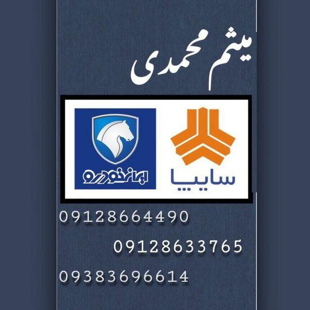 میثم محمدی
