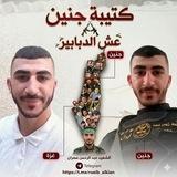 كتيبة جنين عش الدبابير
