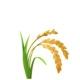 USDT Farm Limited