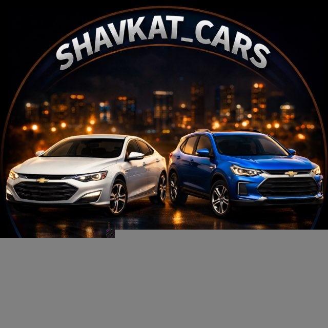 Shavkat_cars