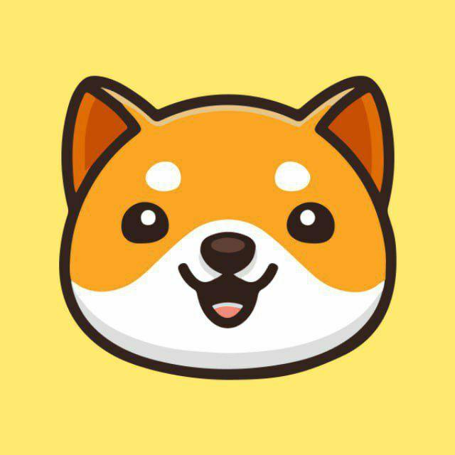 Babydoge international