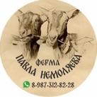 ПАВЕЛ НЕМОЛЯЕВ