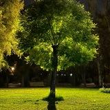 شغل - فرص عمل اربيل 🇮🇶