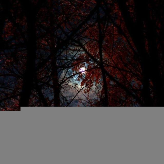 звездопад персеиды🌌
