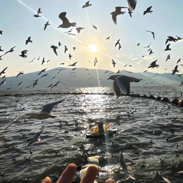 海精聊QQ 微信 超强续租
