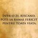 101books.club - Carti PDF Online