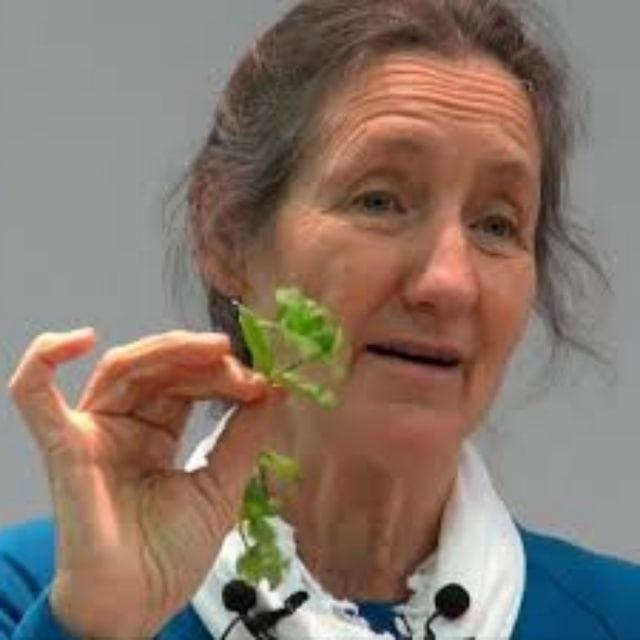 Dr.Barbara O'Neill