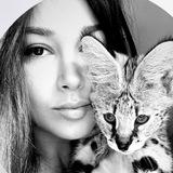 Savannah Cat 🐆