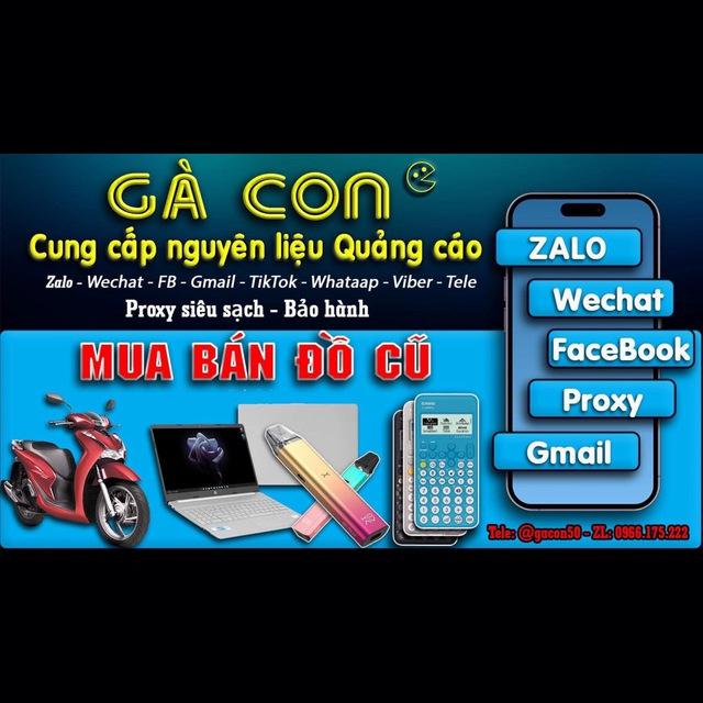 Nguyên liệu Gà Con