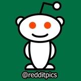 Reddit