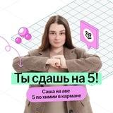 Александра Лебедева | Химия ОГЭ 2026 | Между нами химия | Умскул