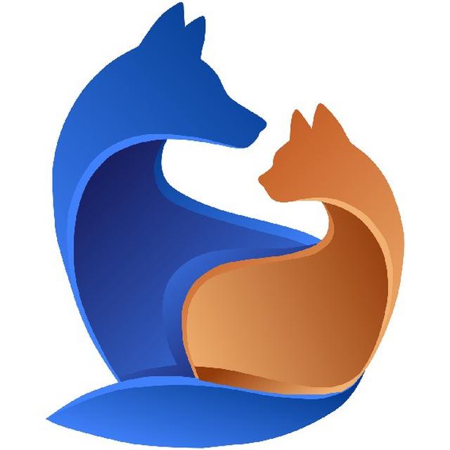 Кошки Инфо