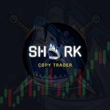 [08]📈 OPÇÕES BINÁRIAS COPY SHARK 💎 #08