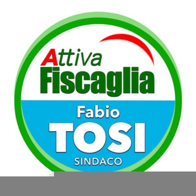 Fabio Tosi - Sindaco