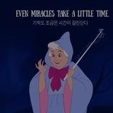 사페Re의 불로장생