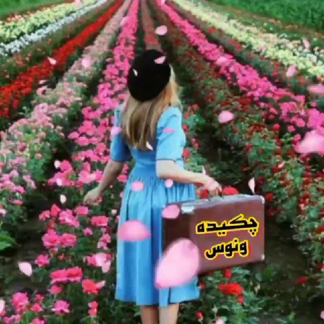 ❤️چکیده ونوس❤️