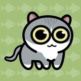 Jumping Cat News