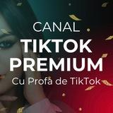 TikTok Premium | Profa de TikTok