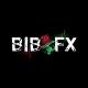 BIB THE FX