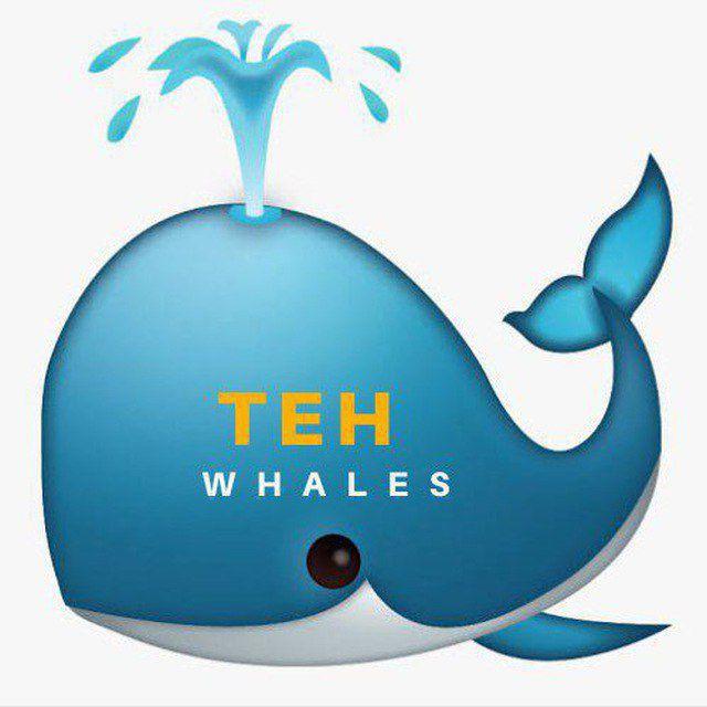 Teh whales | private Hub🐳🐳🐳