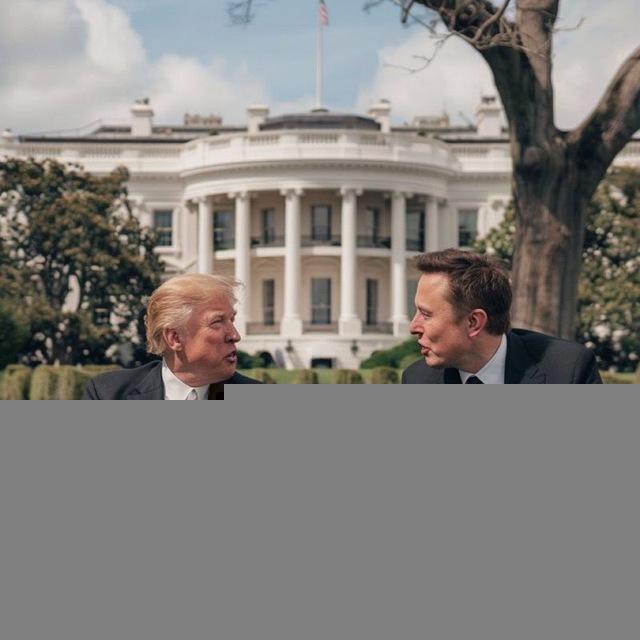 First 1000 days (Trump+Musk)