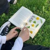 «✍🏻گَنجِیْنَه رمَاّن🖇»