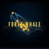 Forex whale🐋
