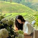 JOB ONLINE
