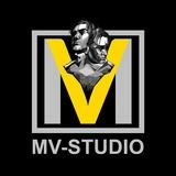 MV-Studio