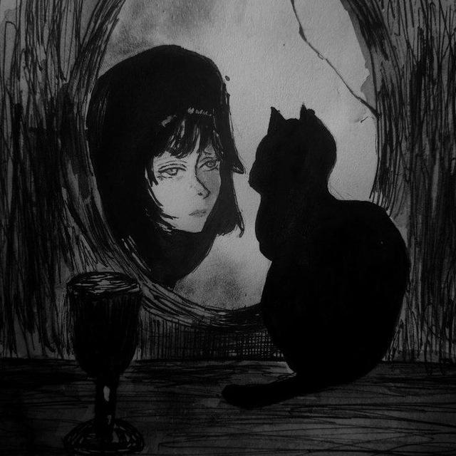 Нора кота