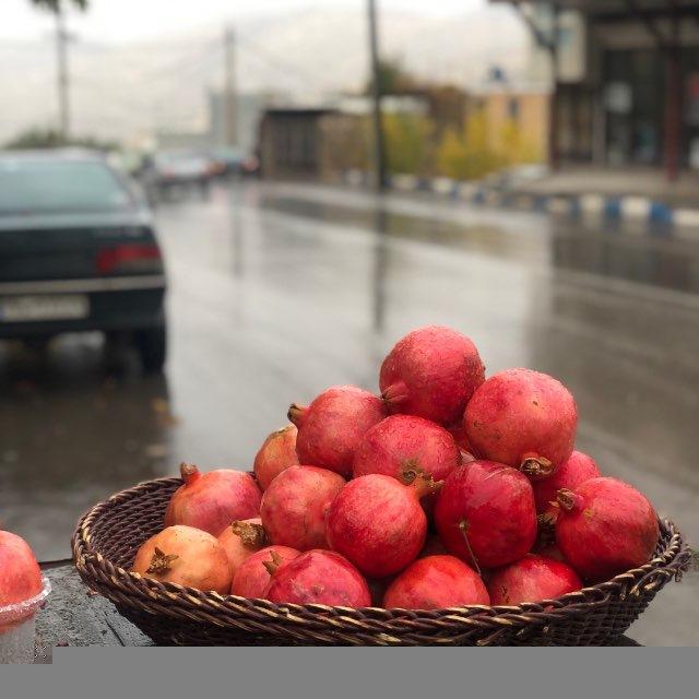 ژیان🌿