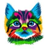 猫云VPN官方频道