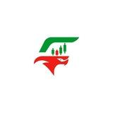 FALCON FOREX