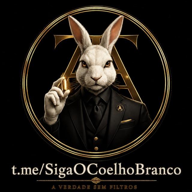 Coelho Branco🐰✨