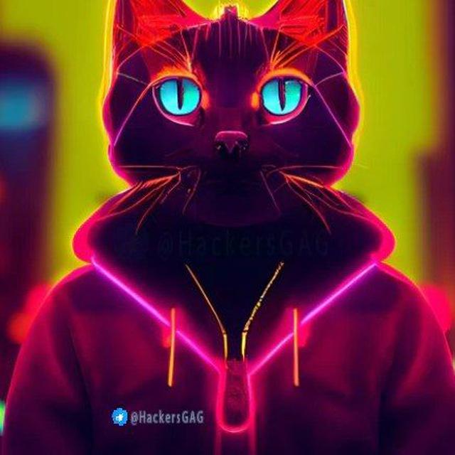 Hackers GAG 😸