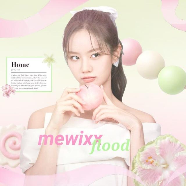 ⌗ 𝗆𝖾𝗐𝗂𝗑𝗑 𝖿𝗅𝗈𝗈𝖽 . 🍡