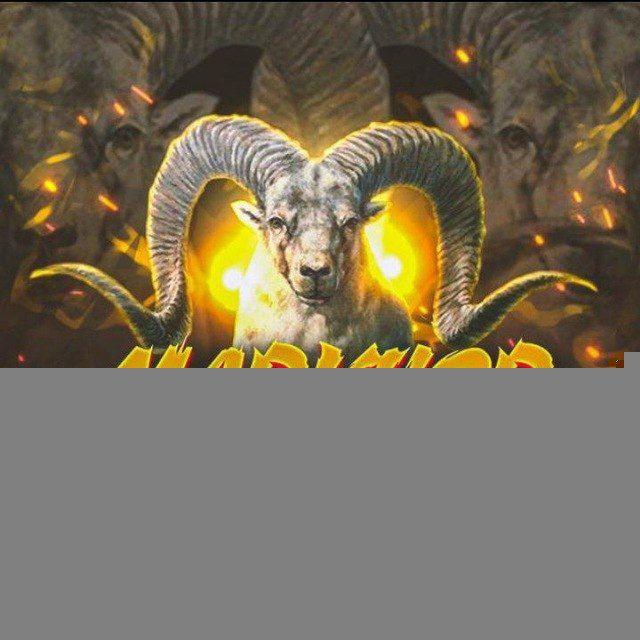 MARKHOR TRADING