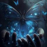 شعــرے در خلوتـــ🦋ــــ