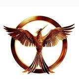 English learning by phoenix