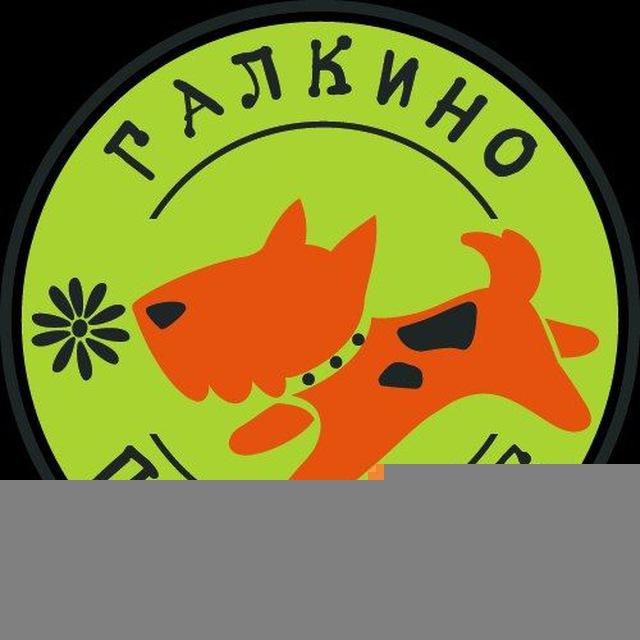 Галкино подворье-приют для животных. Спб