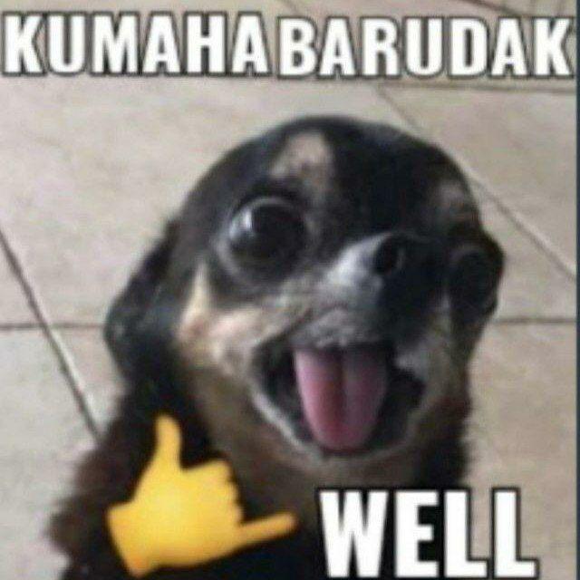 LPM MOOTS WA RL/IG RL.