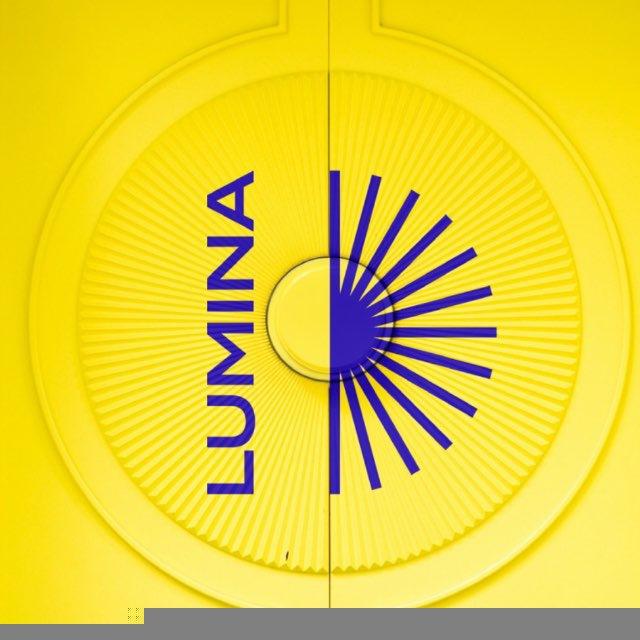 Lumina Training Instuite - Ahmed Nasser