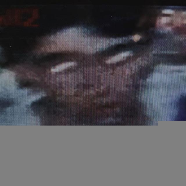 ﮼وَحشَت
