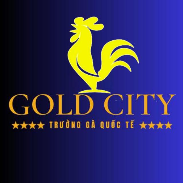 KÊNH CHÍNH CHỦ TRƯỜNG GÀ GOLD CITY