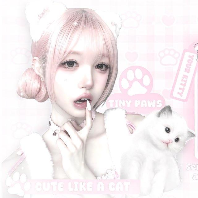 ♫ ᮫ ֺ ׅ 𖦹 Cuppachiaki 🐾🎀